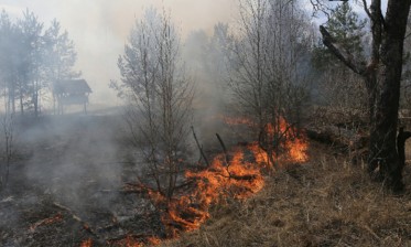 المضيق-الفنيدق: مصرع 3 أفراد من الوقاية المدنية في حريق غابوي