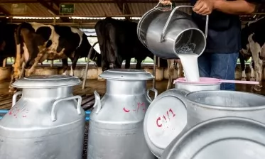 نقص الحليب .. إطلاق برنامج لدعم إنتاج الحليب في الأيام المقبلة 