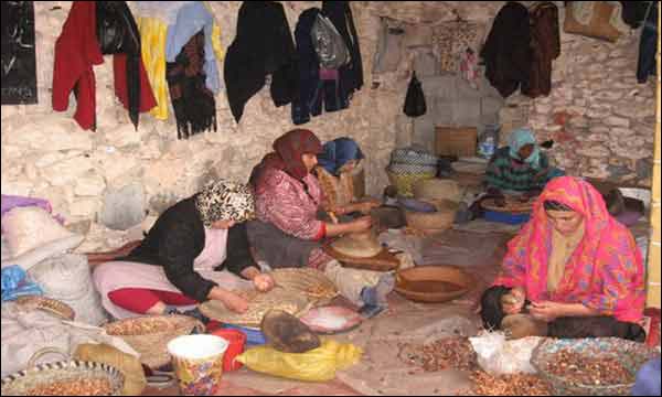 تعاونية نسائية لاستغلال شجرة الأركان