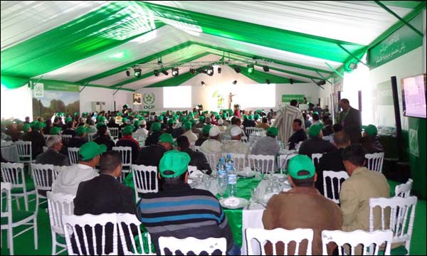 قافلة المكتب الشريف للفوسفاط للحبوب والقطاني تجط رحالها بوجدة