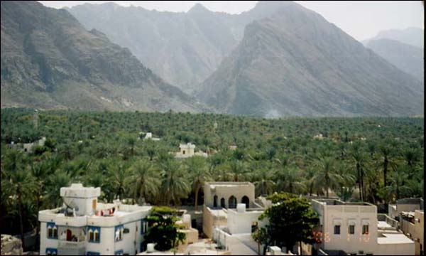(أرشيف)