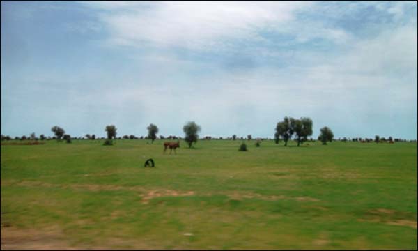 (أرشيف)