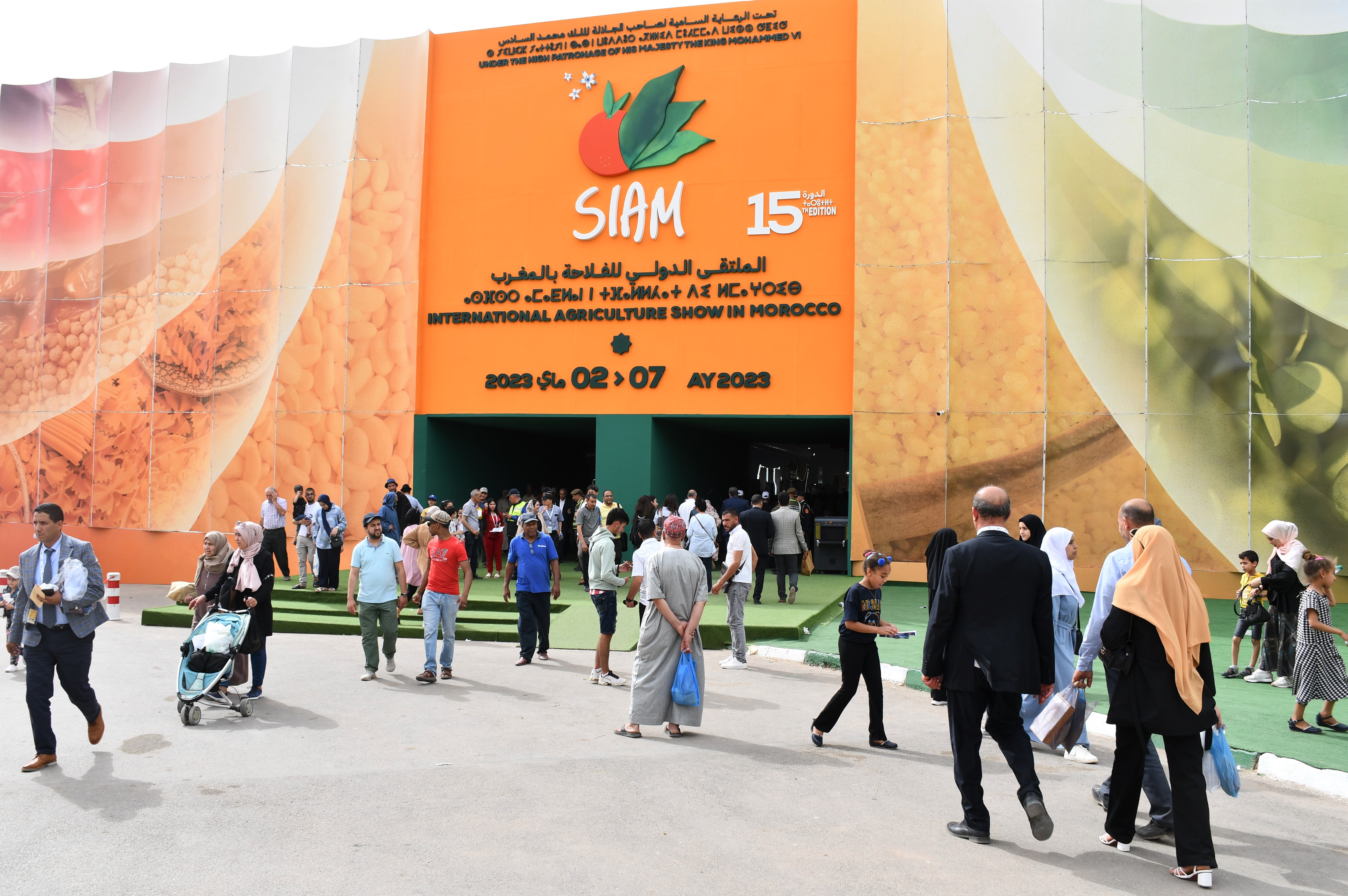 حسن السرادني