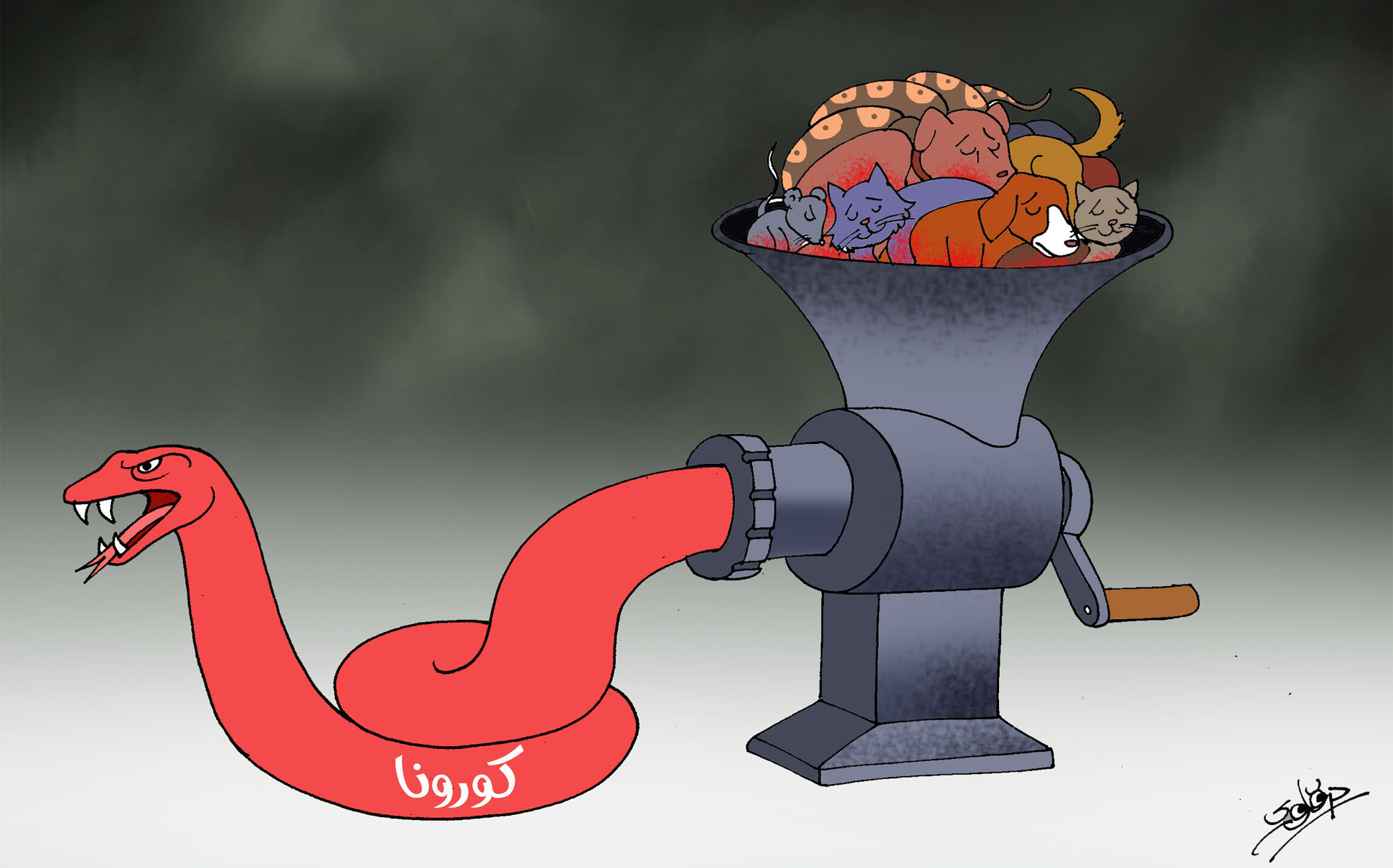 حاضنة فيروس كورونا 