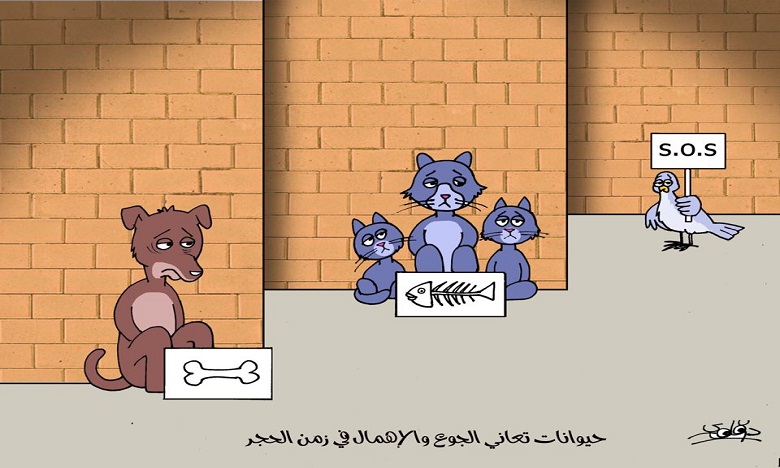 في زمن كورونا حيوانات تعاني الاهمال
