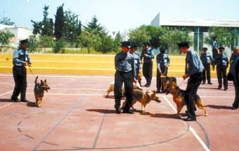 Garde du corps, un métier au grand aplomb
