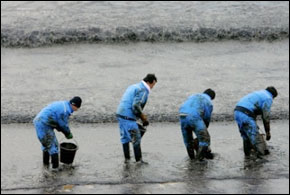 les côtes sud-coréennes souillées par des nappes de pétrole