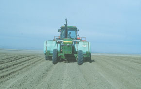 Un champion national est né