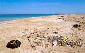 Des plages veulent redorer leur blason