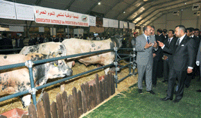 S.M. le Roi Mohammed VI préside à Meknès l'ouverture du 5e Salon international de l'agriculture au Maroc