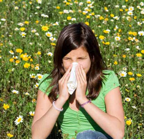 La rhinite allergique, le mal du printemps