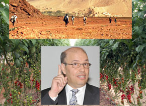 L'agriculture et le tourisme au Maroc en débat
