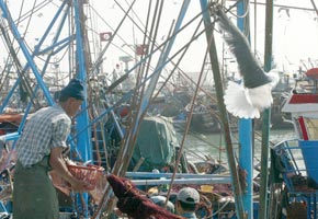 La pêche reste en-deçà des aspirations