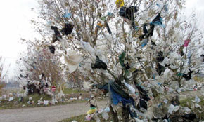 La loi sur les sacs  plastiques imparable