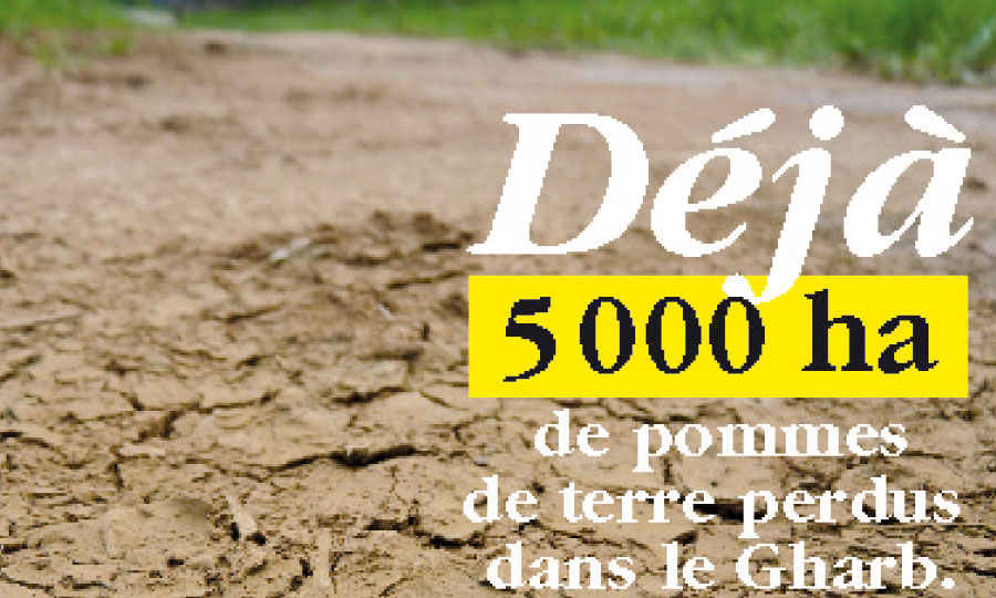 Les agriculteurs veulent des mesures  anticrises concrètes