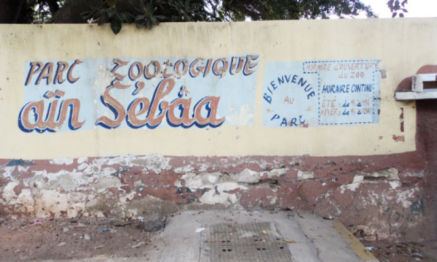 Au secours des animaux du zoo