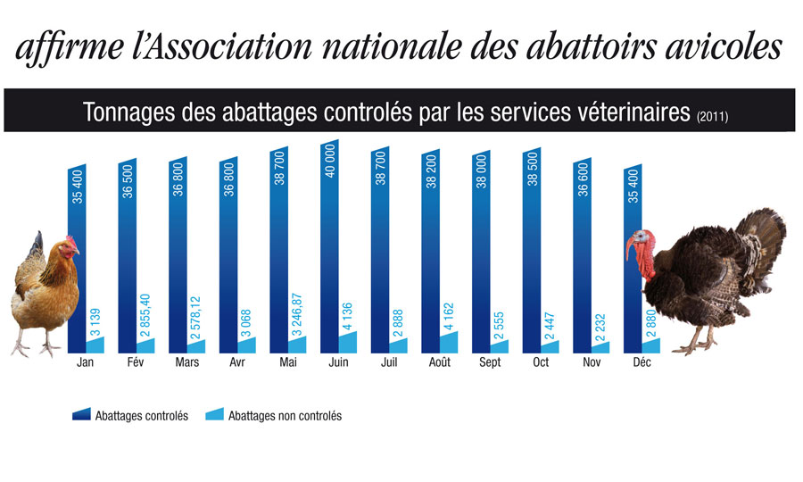 Quel poulet dans nos assiettes ?