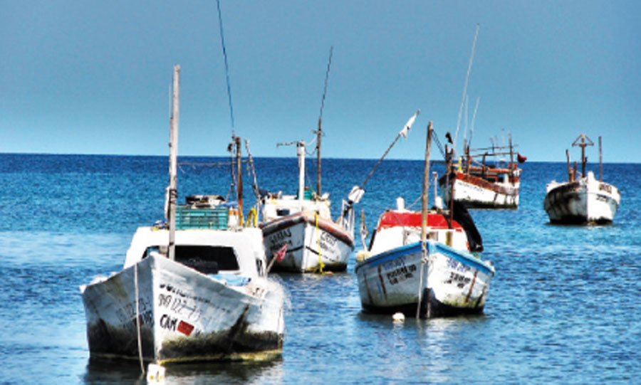 Les exportations des produits de la mer en manque de diversification