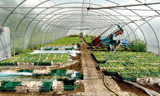 Les producteurs rassurent les consommateurs