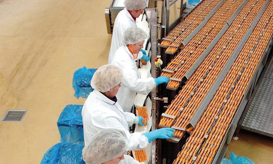 La planification  sectorielle pour  dynamiser l’emploi les jeunes