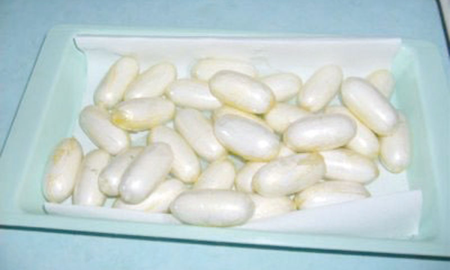 Arrestation d’un Nigérian  en possession de drogue