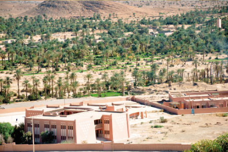 Des oasis adaptées au changement climatique