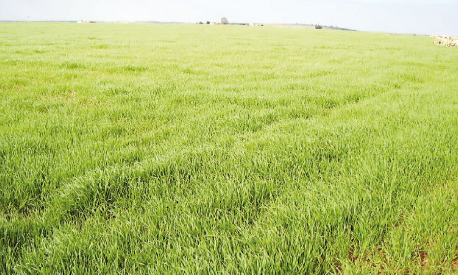 Nouvelles mesures incitatives pour  les agriculteurs