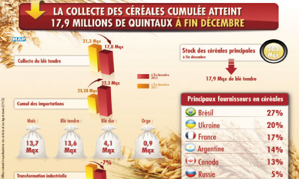 La collecte de céréales  atteint près de 18 millions de quintaux