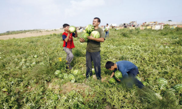 Alliance entre petits producteurs et chefs cuisiniers