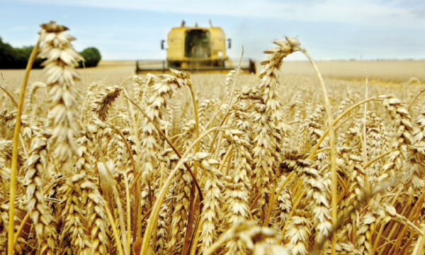 La campagne agricole se déroule  dans des conditions favorables