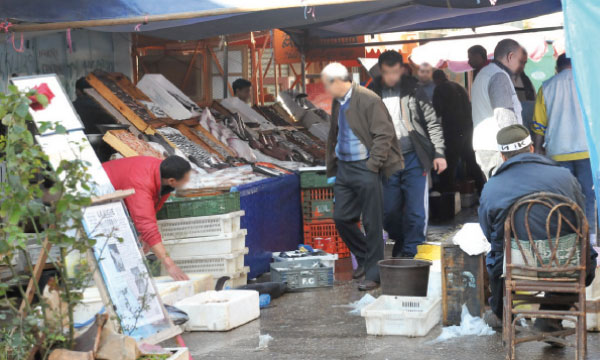 Les poissonniers regagnent leurs quartiers