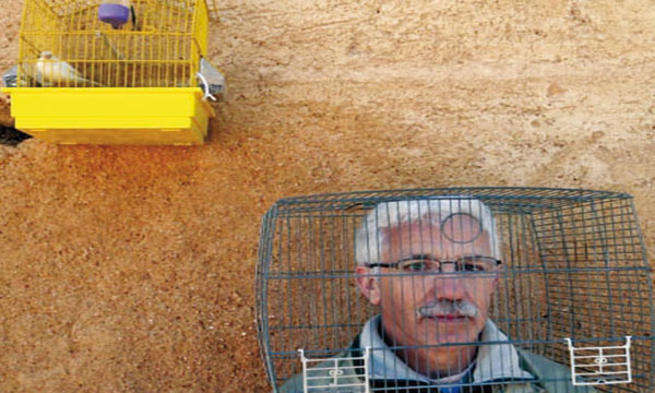 Thami Benkirane aux prises avec les codes-barres