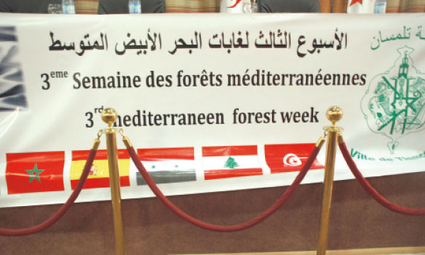 Gestion participative de la forêt  méditerranéenne