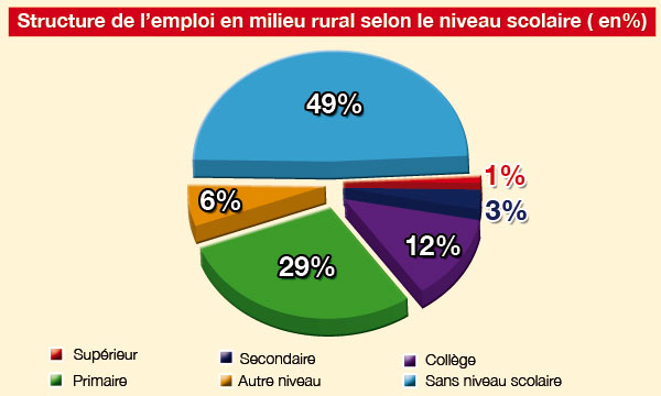Quel soutien pour les jeunes  en milieu rural ?