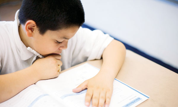 Les aider à bien préparer leurs examens