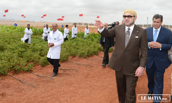 S.M. le Roi inaugure la première tranche de l’Agropole de Berkane relative au pôle de recherche-développement et de contrôle de qualité