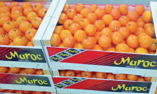 Nos exportateurs  de l’agro-alimentaire  mettent le cap à l’Est