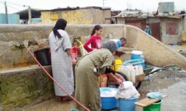 Le réseautage  des femmes élues