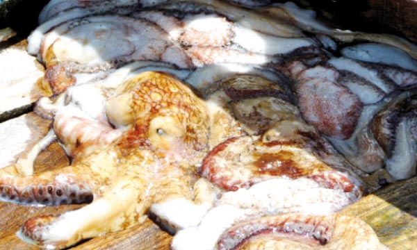 Professionnels et tutelle sur la même longueur d'onde