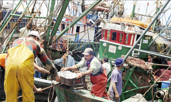 6,5 MDH pour indemniser  les pêcheurs sinistrés