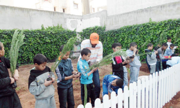 Un espace bio pour les orphelins  de Dar Al Atfal Sidi Bernoussi