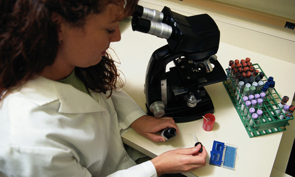 Une première formation à Skhirat du 18 au 20 mai