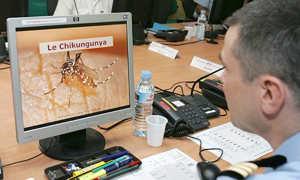 Le chikungunya, une «menace sanitaire d'envergure» en Amérique du nord