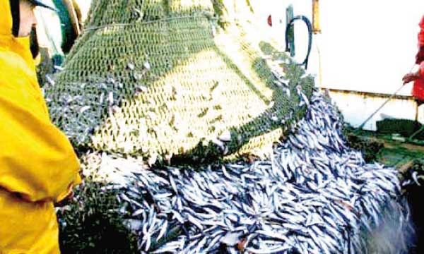 126 navires européens retournent dans les eaux marocaines