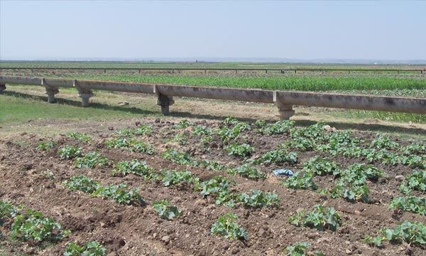 «La politique agricole du Maroc, un modèle à suivre»