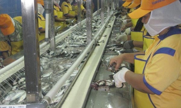 Unimer Africa s'installe à Casablanca Finance City