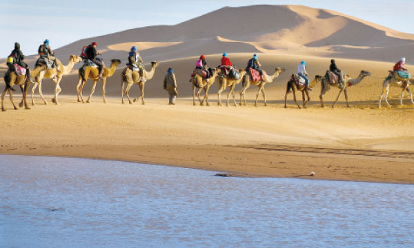 Le Maroc capte près de 20% des flux en Afrique