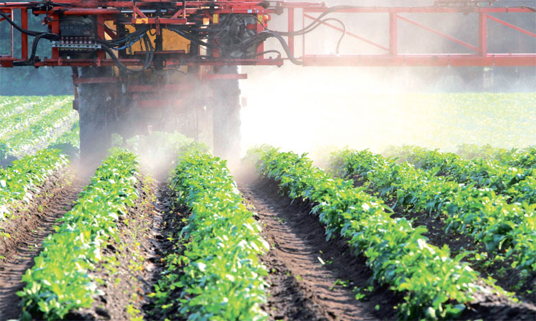 Lancement du projet de l'élimination des pesticides obsolètes
