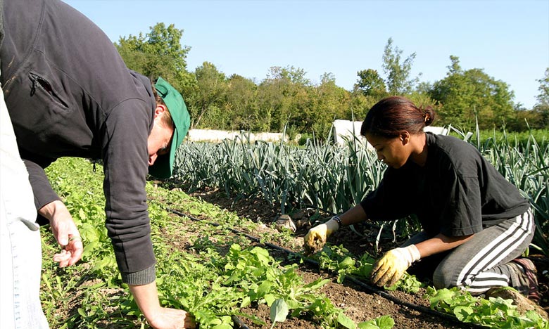 Nécessité des créneaux d'activité prometteurs 