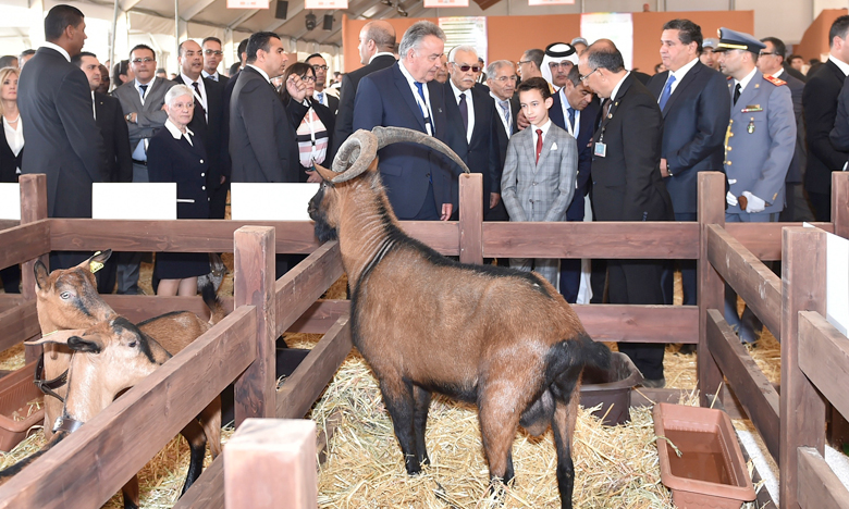 S.A.R. le Prince Héritier Moulay El Hassan préside à Meknès  l'ouverture de la 10e édition du Salon international de l'agriculture